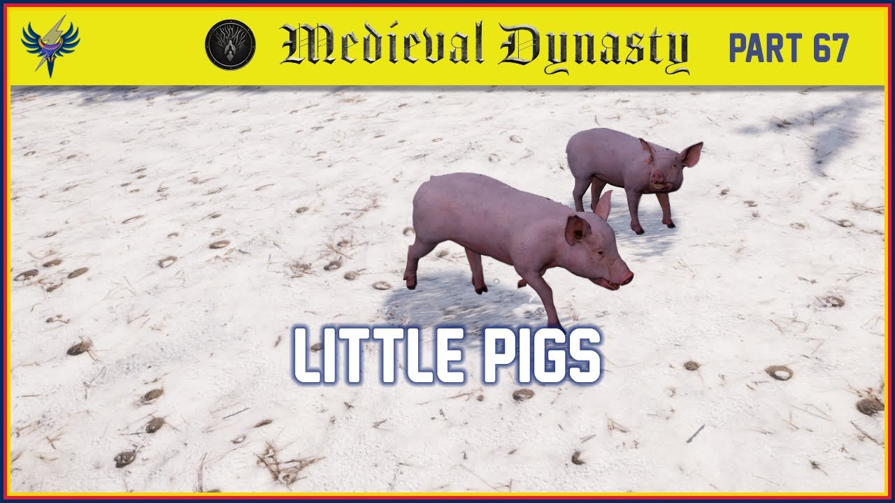 medieval-dynasty-part-67-little-pigs-youtube