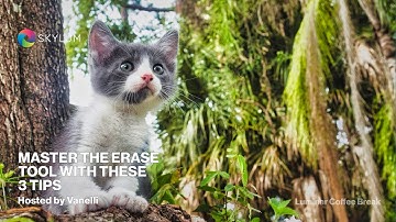 Luminar Coffee Break: Master the Erase Tool with these 3 Tips