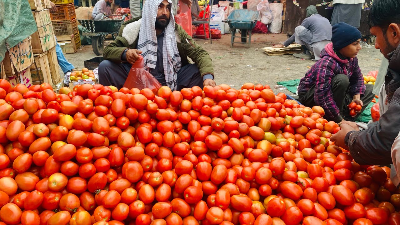 Tomato prices Fruits and vegetables tomatoes auction Sabzi Mandi