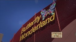 Butterfly Wonderland is America's largest butterfly atrium 