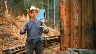 Felling Hazardous Trees – What Could Go Wrong?