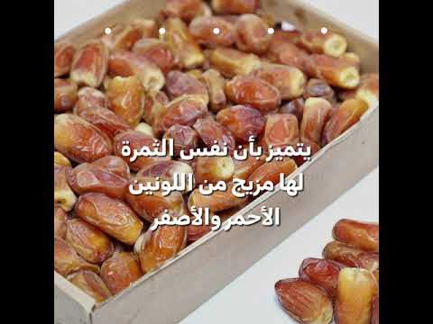 تمر صقعى من مزارع شديد
