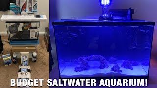 SIMPLE Saltwater Nano “Reef” Aquarium on a BUDGET!!!!