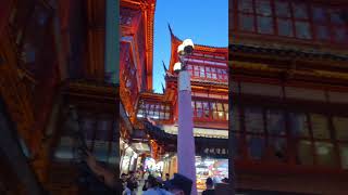 place to visit in Shanghai #travelshorts #travel #travelvlog #yuyuangarden