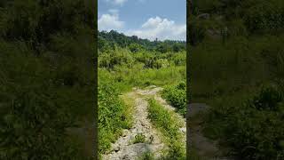 Kitna Pyara Wada Hai  Asha Parekh  Jeetendra  Lata Mangeskar  Mohammed Rafi   Caravan 