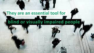 13 Must-Have Apps for Blind or Visually Impaired People in 2020