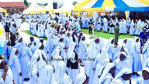 Century of Love (Arise Little Sister) - 100 years of Little Sisters of St Francis