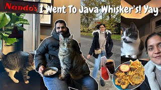 I Finally Went to Meet Cat’s at Java Whisker’s!!🐈 A day at Westfield! #youtube #vlog