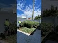 Catch our compilation of hedge transformations!