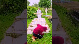 #lifeisbutadream #ihavethisthingwithplants #funny #funnymemes #theothersideofmakebelieve #humor