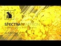 Spectra | Saffron - Halfstep + Minimal Drum & Bass