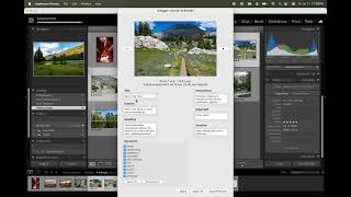 Lightroom AI Image Tagger