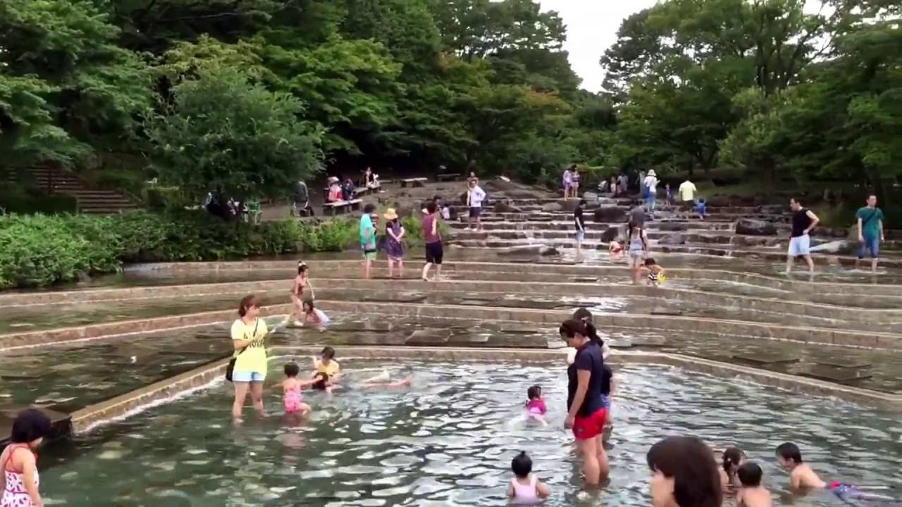 府中 郷土 の 森 公園 水遊び