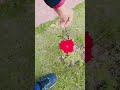 #sound