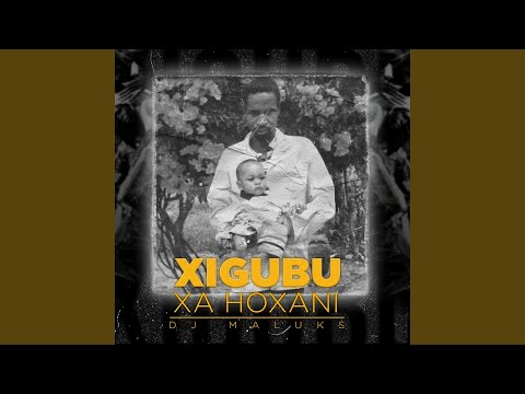 Lengwalo La Letaro Feat Gajeni Keys Dfwne Royster