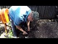 How To Turn POOR Garden Soil Into SUPER Soil In Seconds