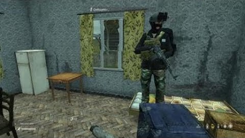 DayZ official interrogation.