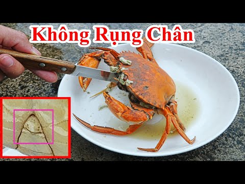 Video Cách Luộc Cua Biển Không Bị Rớt Chân Rụng Càng Cực... - youtube
