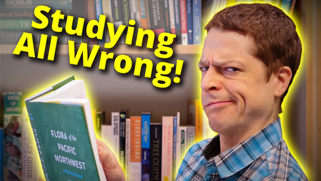 I ve Been Studying Wrong This Whole Time Effective Learning Strategies