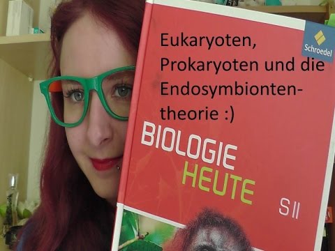 Video: Nachweis Und Charakterisierung Von Bakteriellen Endosymbionten In Südostasiatischen Populationen Von Tephritiden Fruchtfliegen