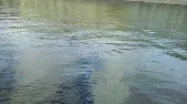 Я солнечнаЯ