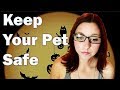 Halloween Pet Safety Tips