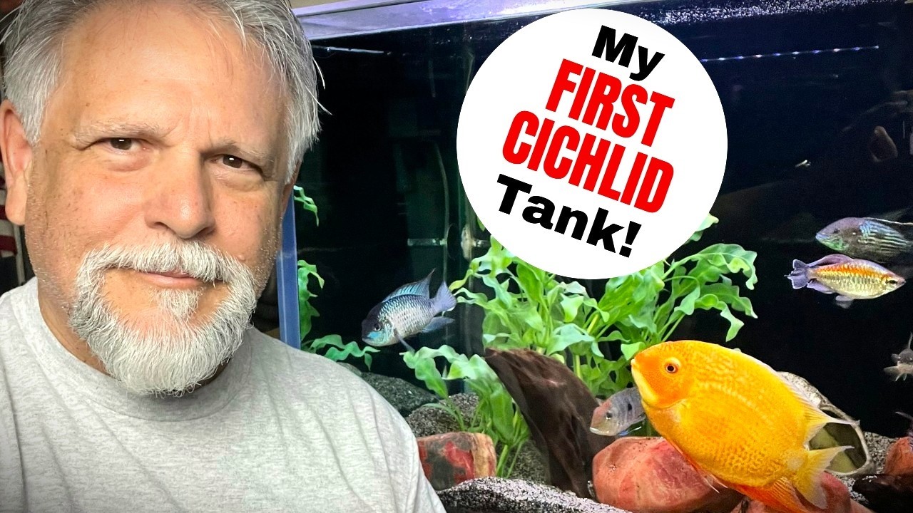 Your *FIRST CICHLID TANK?* - Watch these Tips FIRST!