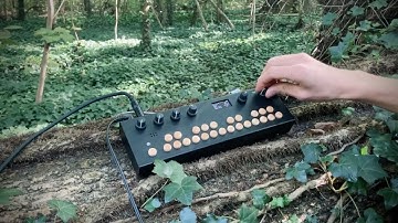 Organelle S - Woodland Arps IV