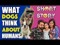 What Dogs Think About Humans | A Funny Dog Short Story | Harpreet SDC