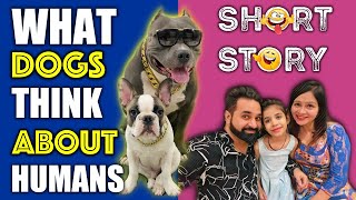 What Dogs Think About Humans | A Funny Dog Short Story | Harpreet SDC