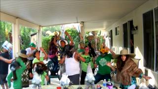 St Patrick's Day Harlem Shake 2013 HD