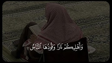 يَا أَيُّهَا الَّذِينَ آمَنُوا تُوبُوا إِلَى اللَّهِ تَوْبَةً نَّصُوحًا |قارئ محمد زاهر البارقي 