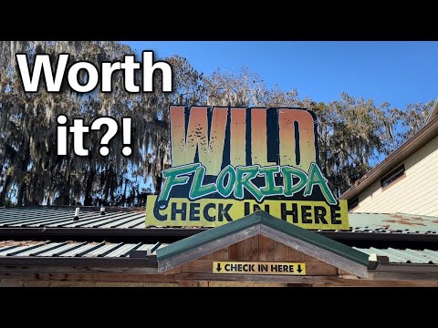 Wild Florida Drive Thru Safari And Gator Wildlife Park Orlando Review
