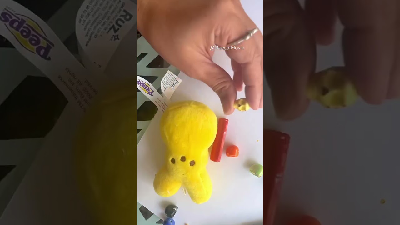 Happy Day of the Dead! Enjoy some DIY sugar skulls 