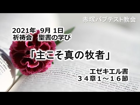 2021年9月1日(水)祈祷会　聖書の学び「主こそ真の牧者」エゼキエル書34章1~16節