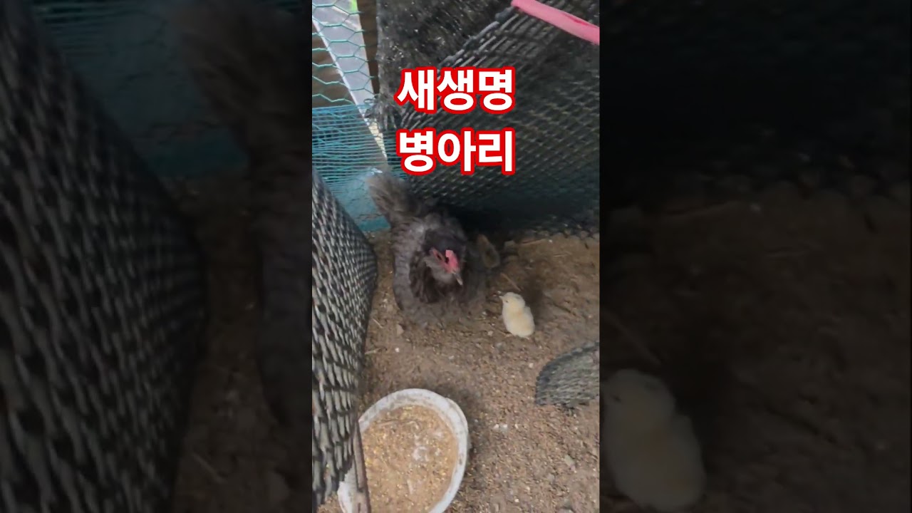 만 하루 새생명