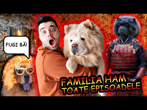 FAMILIA HAM 🐶