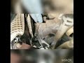 Toyota Tundra Starter Removal Easy Fastest Way