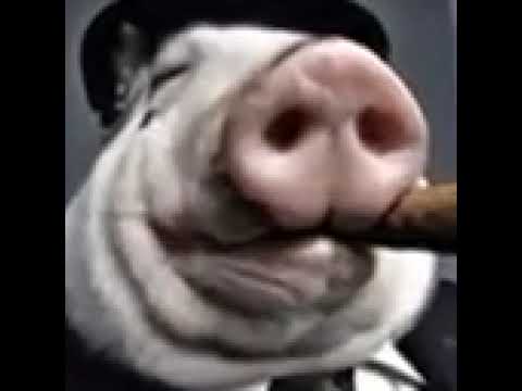 Παρακολούθηση Cursed Peppapig[NOT FOR KIDS] στο YouTube