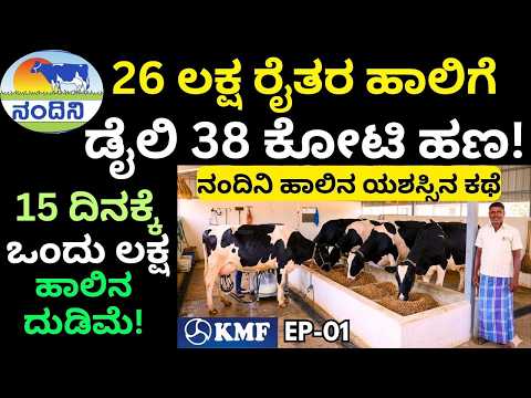 "ಹೈನು ಉದ್ಯಮದಿಂದ  ನನ್ನ ಮಕ್ಕಳನ್ನುಇಂಜಿನಿಯರಿಂಗ್ ಓದ್ಸಿದಿನಿ"!||KMF||Nandini Milk||EP-01||#KMF #NandiniMilk
