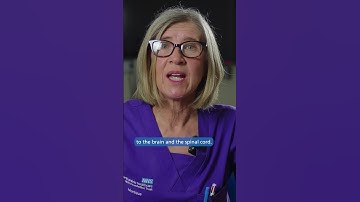 What are multiple sclerosis (MS) lesions? #shorts