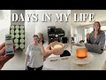 Vlog getting back into routine  chatty reset day  future travel plans 