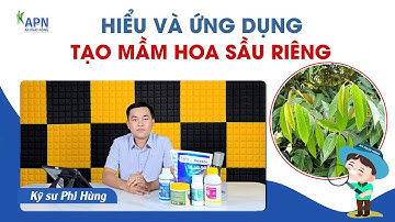 APN - HIỂU VÀ ỨNG DỤNG TẠO MẦM HOA CHO SẦU RIÊNG #kythuatcanhtacsaurieng