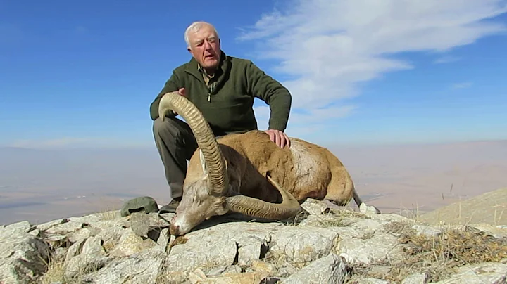 Konya sheep hunting - Alan Sackman - November 2016