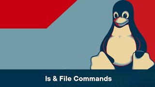 Exploring ls (List directory contents) and file (Determine file type) linux commands.