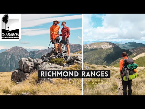 Te Araroa Trail | Episode 14 - RICHMOND RANGES / Part 1 | New Zealand Thru Hike