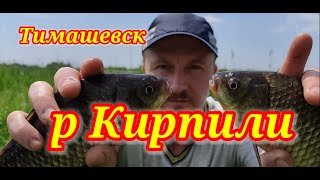 Рыбалка р Кирпили. Тимашевск.Карась клюет!