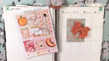 June 2019 PWM in my Erin Condren Ft: Dek Design/plan2befab Peaches and Cream