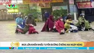 Mưa lớn khiến nhiều tuyến đường ở Đồng Nai ngập nặng | VTVWDB