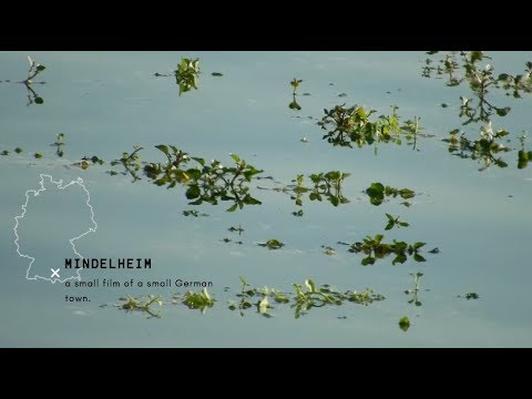 Mindelheim; a small